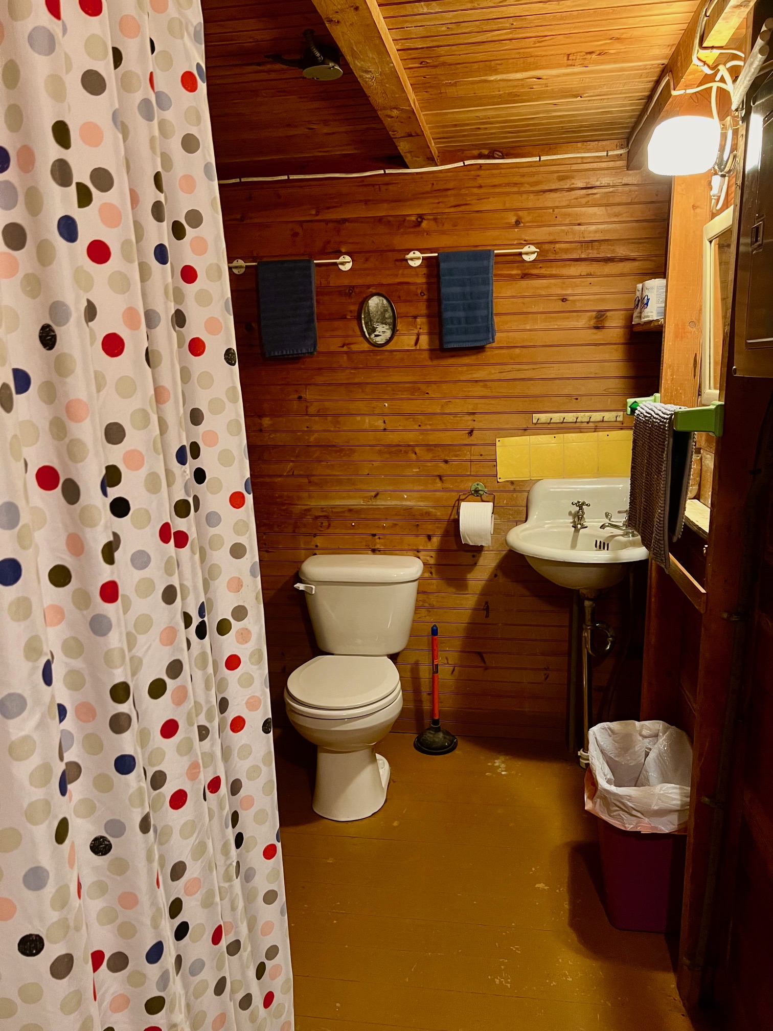 Worthwhile Cabin