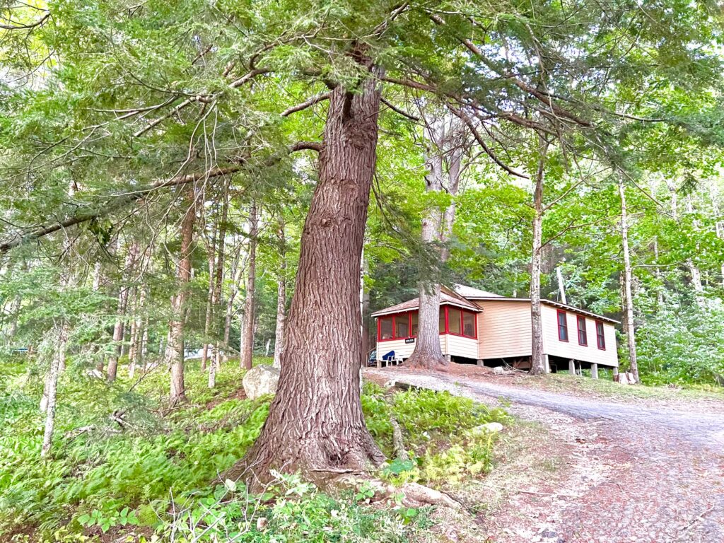 Hemlock Cabin